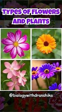 Exploring the diverse types of flowers and plants — from structure to function! #plantbiology
