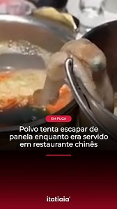 1.3M views · 3K reactions | EM FUGA | Uma cena inusitada foi gravada...