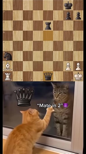 Asian Mind Sports Association Chess Championship