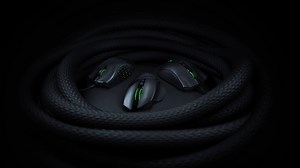 22K views · 21 shares | Happy Snake Day  Can you identify the snakes here? | Razer | Facebook