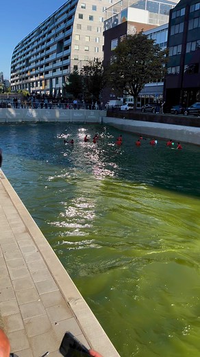Surfing in the city of #Rotterdam #thenetherlands #holland #markthal surfparadijs Rif010 #sunnyday #tiktokviral #dutchlife #Surfen #stadsleven #stadswandeling #happiness #happylife #blaak | Alexis Williams