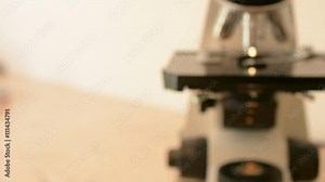 Laboratory doctor hands with sterile gloves using inoculation loop to isolate staphylococcus bacteria from blood agar infected this bacteria. Medical laboratory concept Stock Video