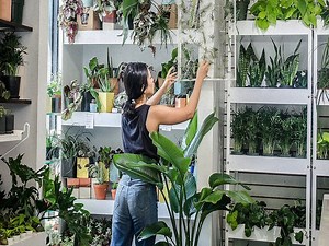 A Complete Guide to Help You Start Your Own Plant Business