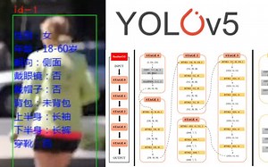 AI把你看得明明白白！YOLOv5 ByteTrack 多标签分类网络开发行人属性分析系统