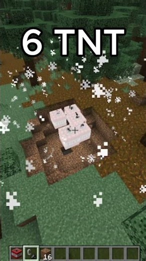 6 Block TNT Test BOOM 💥 #minecraft #shorts