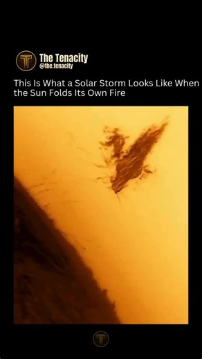 Tenacity | News | Facts | Wisdom on Instagram: "The glowing arc you’re seeing is not fire. It’s plasma—superheated, electrically charged gas erupting from the Sun’s surface and stretching deep into space ☀️⚡ These massive loops, called solar prominences, are held in place by the Sun’s magnetic field. They can grow larger than Earth itself, floating in the Sun’s outer atmosphere for hours or even days 🌍🔥 But when the magnetic grip weakens, gravity takes over. The plasma collapses and falls stra