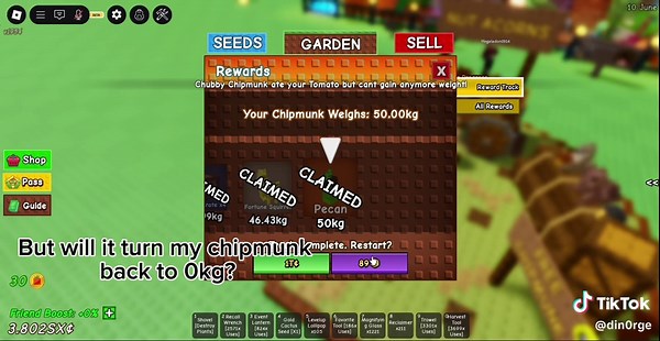 Chipmunk Garden Growth Tips and Tricks