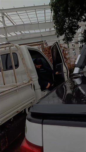 Humor Económico: Risas y Memes en TikTok