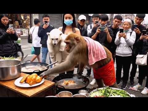 Gordon Ramsay Would Be Shocked! Monkey Chef in Action!#viralvideo