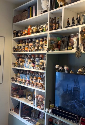 Expanding My Harry Potter Collection After a Year