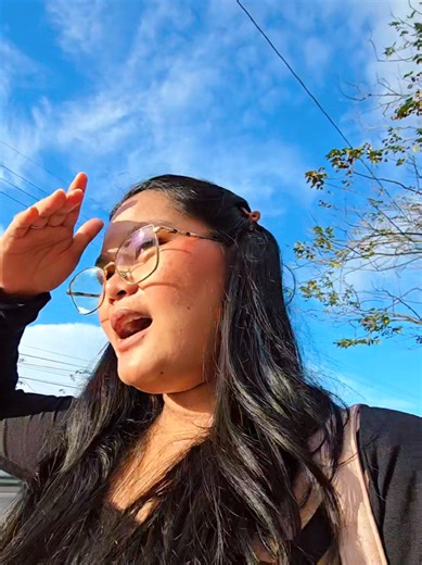 Applying to Preply as a Tutor via Phone