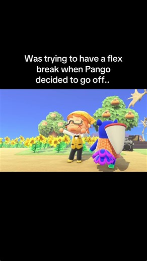 Aspiring Pop Star Surprises in Animal Crossing