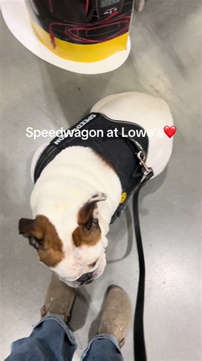 Speedwagon's Fun Day at Lowe's