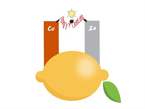 Das Elektrochemische Potential