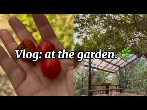 Summer Break Routine at the Garden | Relaxing Nature Vlog