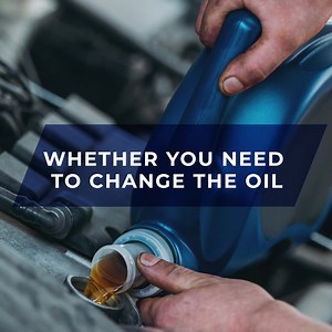 1.2K views · 20 reactions | Whether you need to change the oil, varnish the scratch or just to hang out with our mechanics, you are always welcome to our Repair Shop! (630)506-8869  recruiting@superegoholding.net  superegoholding.com | Super Ego Holding | Facebook