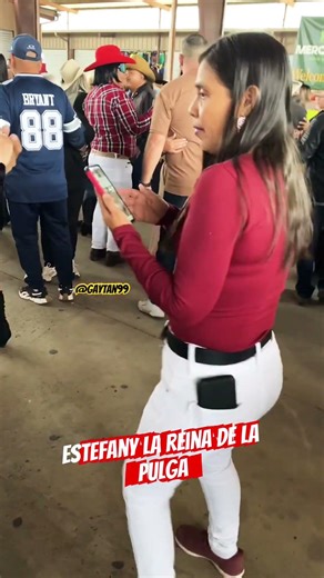 PulgA de Alamo, Texas #humor #youtubeshorts #spotifyclone #dance #chihuahua