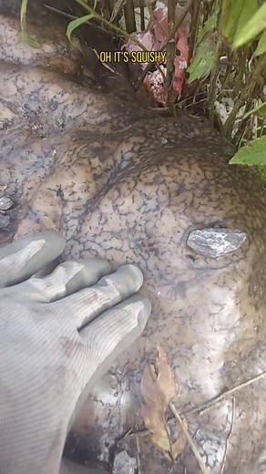 This thing is crazy!! #litterhunter #illegaldumping #mystery #whatisit? #littering