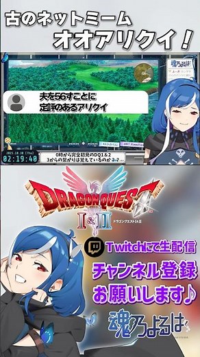 オオアリクイのネットミームｗ【DQ1 /魂乃よるは切り抜き】