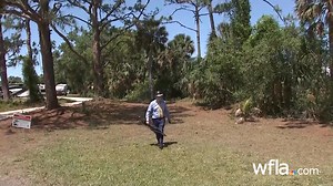 WHEN HAWKS ATTACK: A pair of nesting hawks is causing trouble at a Sarasota business, attacking the owner's family and customers and even WFLA Jeff Patterson. Read the full story: https://bit.ly/4jqeh5c | WFLA News Channel 8