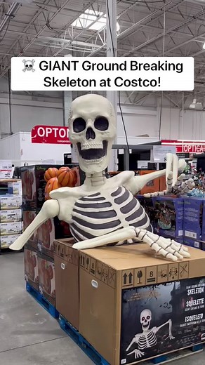 Ground Breaking Skeleton Halloween Decoration with LED Lights and Sound | Giant Size!
