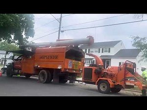 Asplundh tree expert ￼