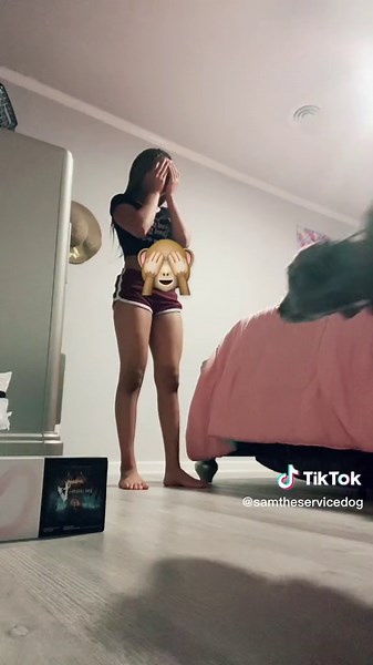 As long as im with sam i got a smile on my face✈️🤟🏽#servicedog #psychiatricservicedog #servicedogintraining #servicedogsoftiktok #servicedogtask