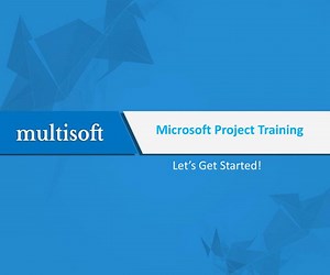 Microsoft Project Training - SlideServe