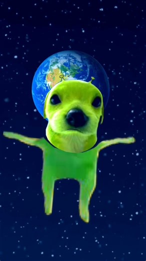 dog alien #memes #funny #shorts #trending #viral