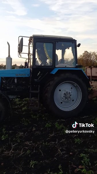 BELARUS Tractor in Action: Agricultural Field Scene