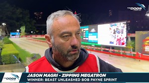 8.6K views · 143 reactions | "He's doing all the right things" Here's what Jason Magri had to say about Zipping Megatron's win in the Beast Unleashed Bob Payne Sprint Final tonight at Wentworth Park Greyhounds. #thedogs #greyhoundracing #greyhounds | The Dogs | Facebook