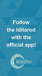 13 reactions | The 2024 Iditarod starts this weekend! Keep an eye on the latest race standings, learn more about the mushers, and check out videos from the trail on the official Iditarod app! Download the app in the App Store or Google Play! | Bristol Bay Native Corporation | Facebook