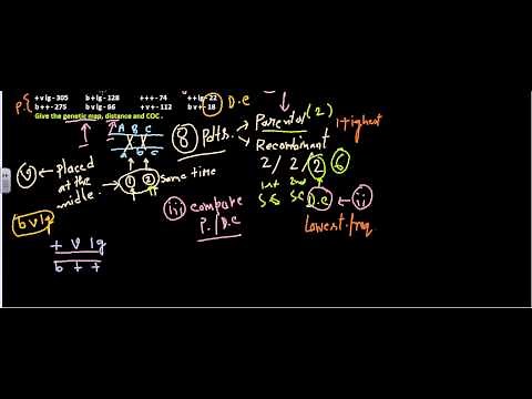 Linkage mapping problem three point cross