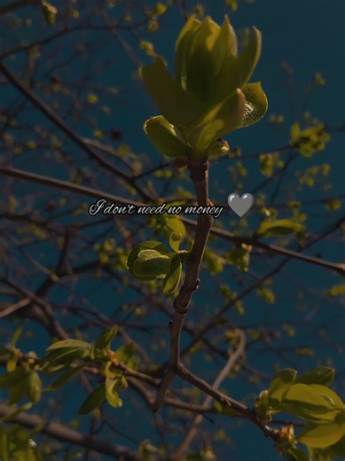 Come on come on turn the radio on...❤️‍🔥🎧👀🖤 . . . #goviral #lyrics #englishlyrics #lyricsvideo #fyp