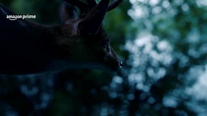 1.1K views · 33 reactions | Set in the protected elephant sanctuaries of India, Poacher, an eight-part crime series follows a team of investigative forest agents as they track down members of the largest ivory poaching ring in the nation's history. | Reuters | Facebook