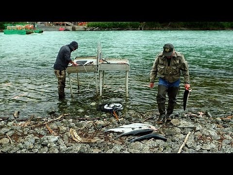 Combat fishing on Alaska's Kenai Peninsula