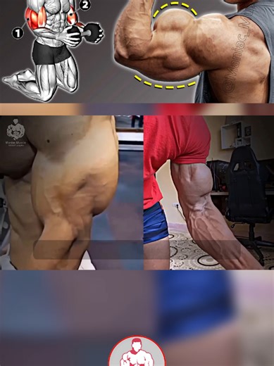 Full Arms Workout with Dumbbells | Biceps and Triceps Builder! #armsworkout #biceps #triceps #dumbbellworkout #gym