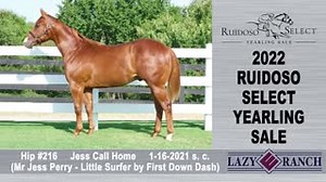 29 reactions | Check out this yearling featured in the Lazy E...