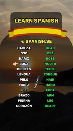 Spanish phrases for beginners 🇪🇸 New to Spanish? Subscribe and level up quickly! #spanish #español #spain #learning #learnspanish | Spanish.se