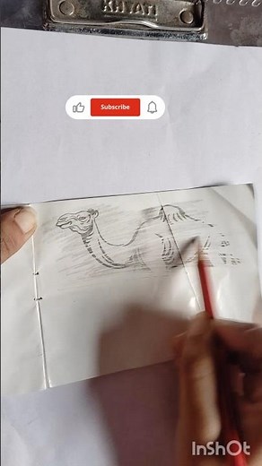 I Tried The World's Easiest Camel Drawing Tutorial