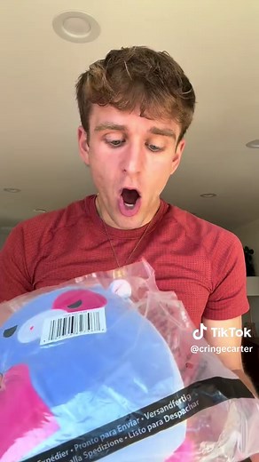 Exciting New Additions to My Squishmallows Collection