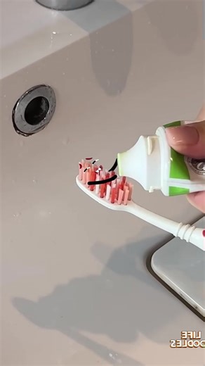 Funny Animation Cartoons for All Ages