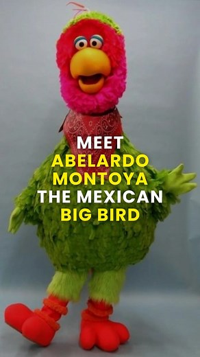 Nuestro Stories | Meet Abelardo Montoya, the “Mexican Big Bird,” a green, full-bodied Muppet parrot on “Plaza Sésamo,” the Mexican co-production of “Sesame... | Instagram