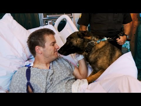 The dog saved the police officer's life. A heroic story.