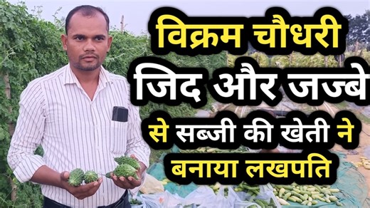 4.1K views · 90 reactions | Success StoryFarming Tips एक Idea ने बदल दी युवक की किस्मत華जिद और जज्बे से सब्जी復की खेती में बनाया लखपति | Brihaspati Kumar Pandey | Facebook