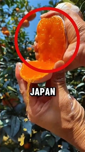 JAPAN lives in 2050!🥶 #shorts #german #japan #future