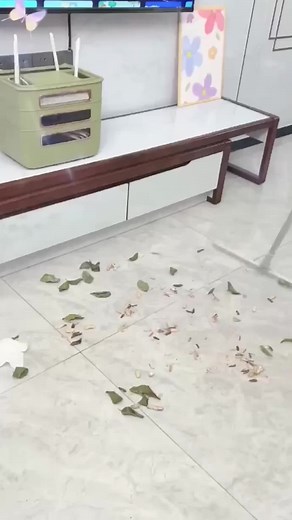 magic mop#mop #moparornocar