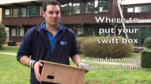 6.1K views · 79 reactions | Once you've built your swift box, then it...