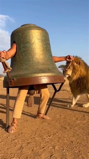 LION RINGS THE HUMAN BELL! 🔔💀 (EAR RAPE) #shorts #sound #bell #trap #lion #funny