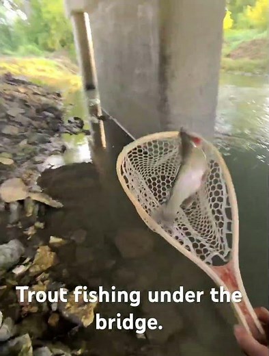 Trout fishing in Decorah, Iowa.